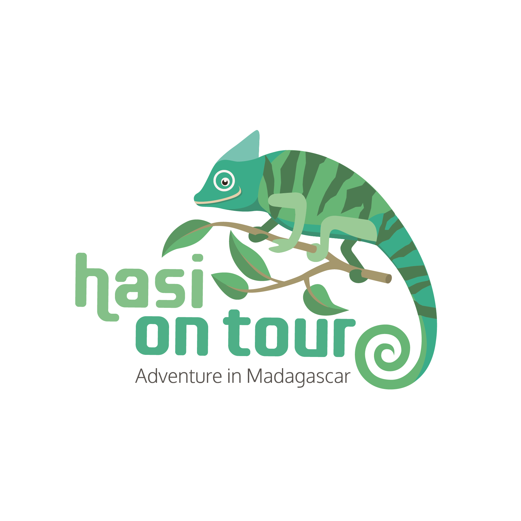 Hasi on Tour