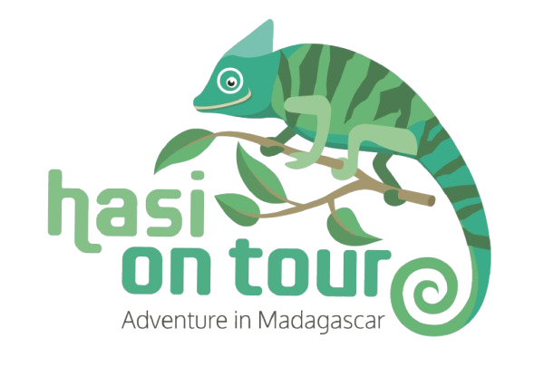 Hasi On tour