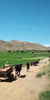 Reisfelder und Gebirge im Hochland Madagaskar 